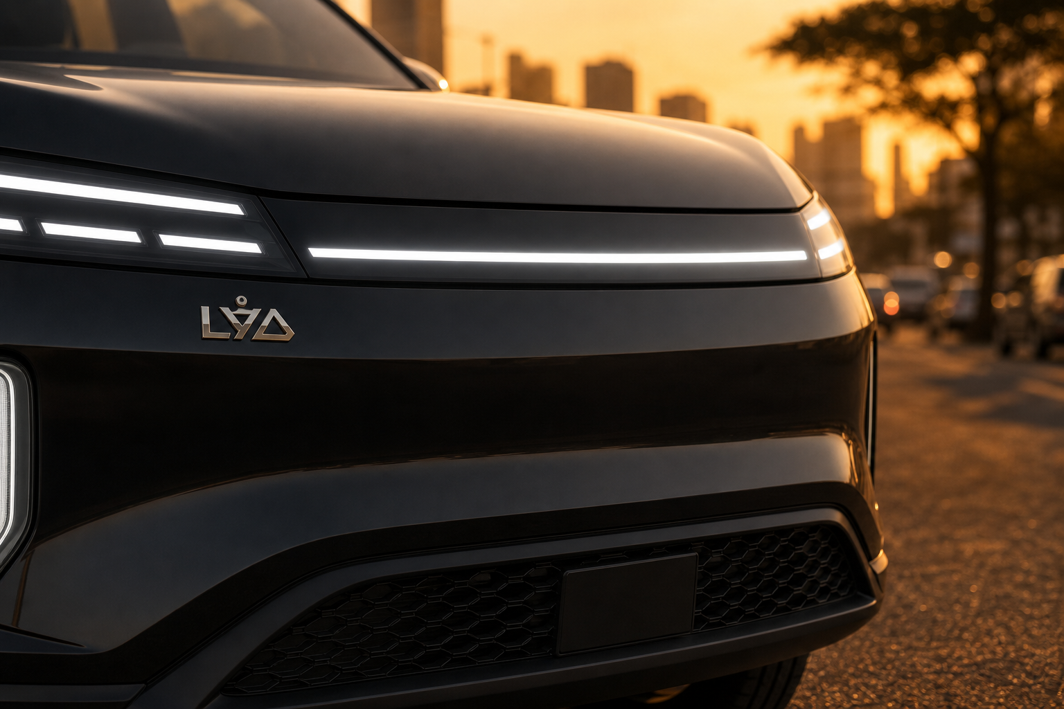 LYD Flux 3 — front light treatment detail
